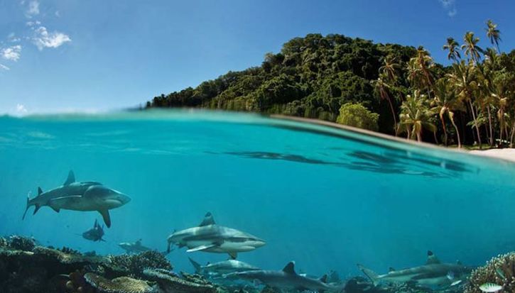 出境游攻略全集,护照旅游攻略大全