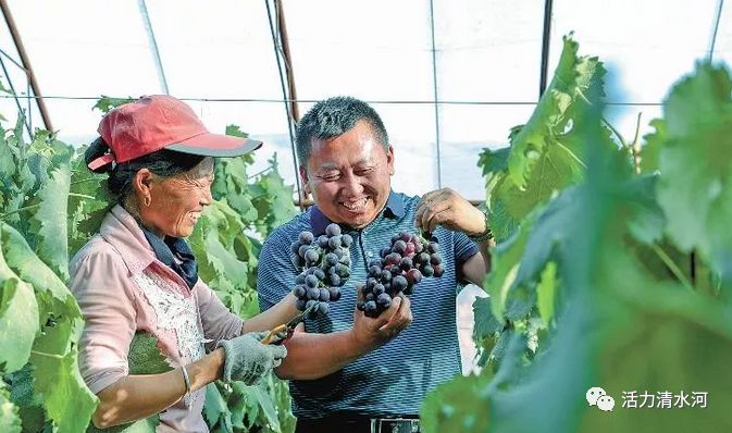 聚焦脱贫攻坚探访扶贫新事,扶贫引领百姓脱贫致富