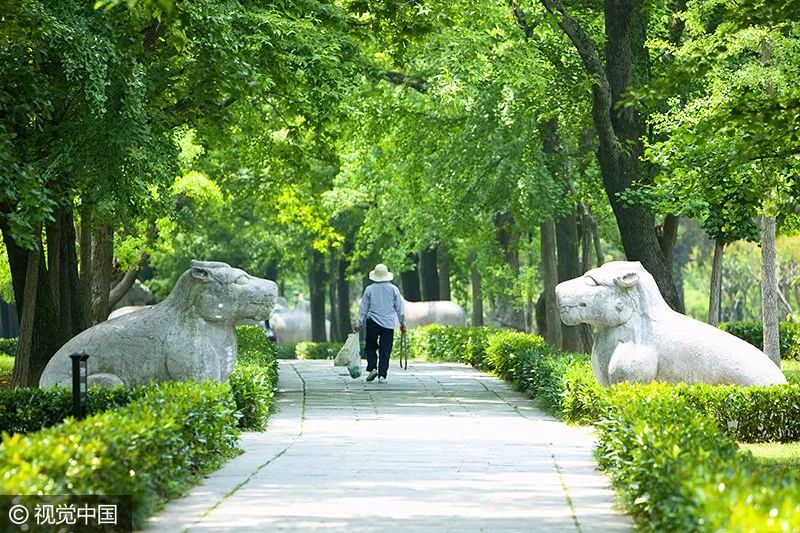 致富经的套路及方法,致富的方法和技巧