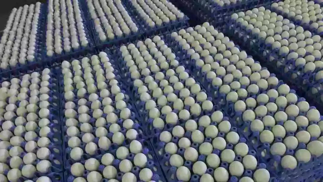 美国沙门氏病毒感染,病毒爆发后的麦当劳