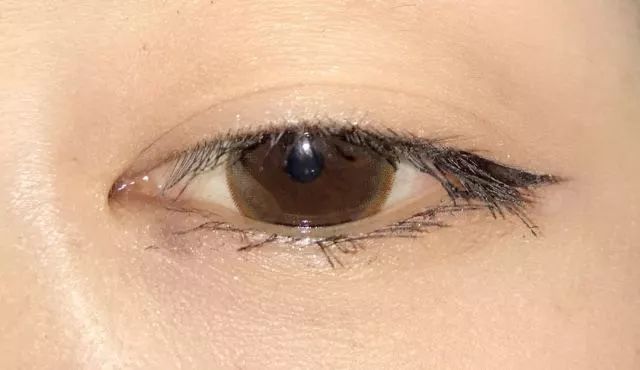 睫毛膏10大品牌推荐,平价卷翘睫毛膏测评