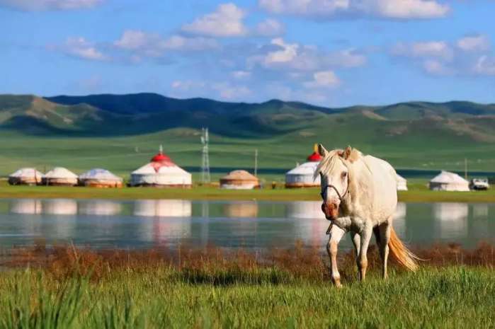想和你一起去旅行去大草原 (呼伦贝尔大草原天苍苍野茫茫)