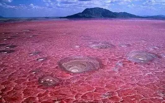 桂林最出名的两大洞穴,桂林洞穴