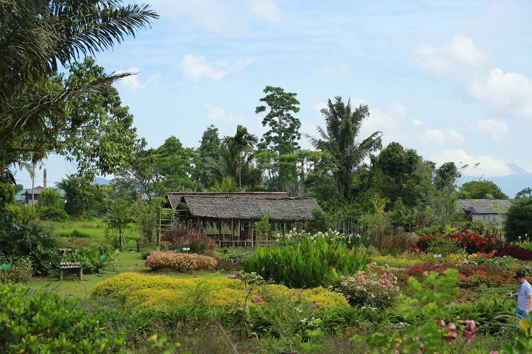 印尼美娜多潜水,印尼美娜多潜水考证