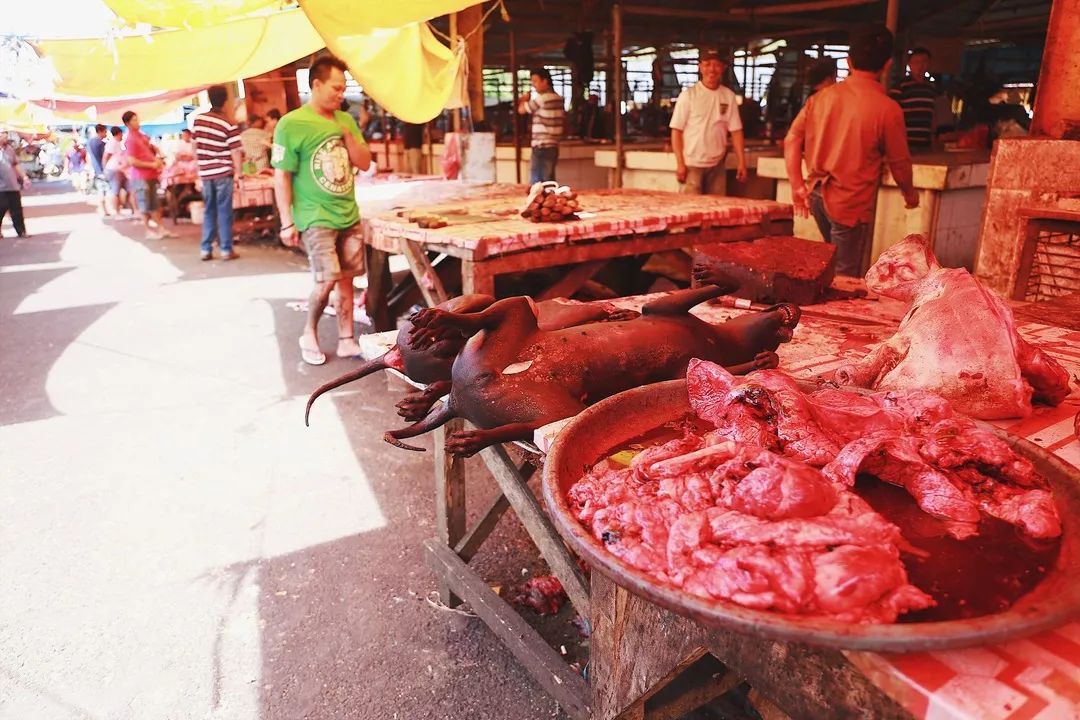 印尼美娜多潜水,印尼美娜多潜水考证