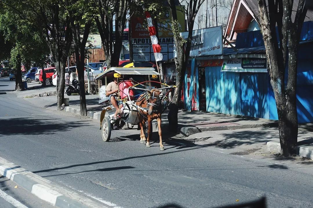 印尼美娜多潜水,印尼美娜多潜水考证
