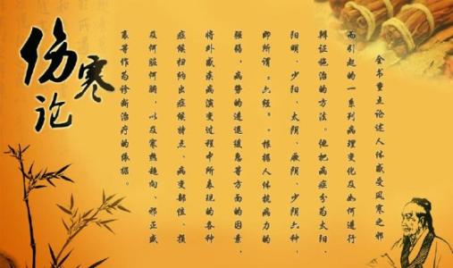 郝万山讲伤寒论文字版27讲,中医经典郝万山讲伤寒论