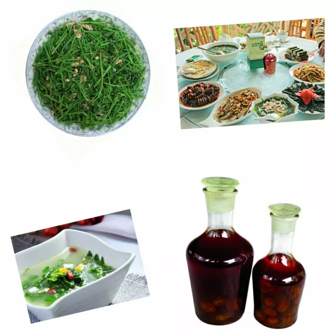 三伏天，龙虎山的“山大王”们开始消暑养生了！