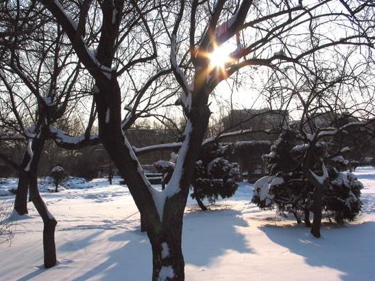 20岁应该去哪里旅游,20岁适合去哪些地方旅游