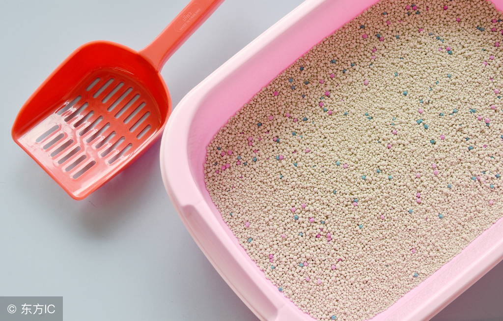 猫咪突然随地大小便怎么回事,养宠物猫咪喜欢掉毛怎么办