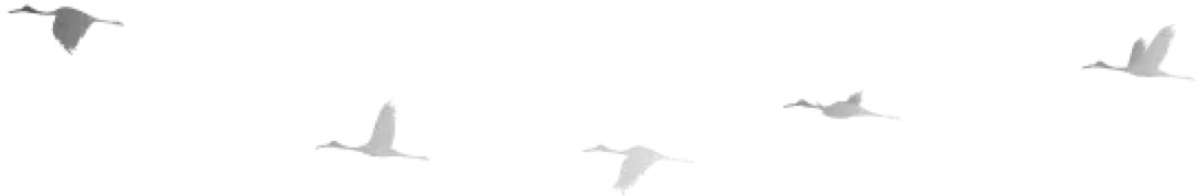 杞儙澶璐ㄩ噺鏇濆厜,澶鏇濆厜灞变笢杞儙