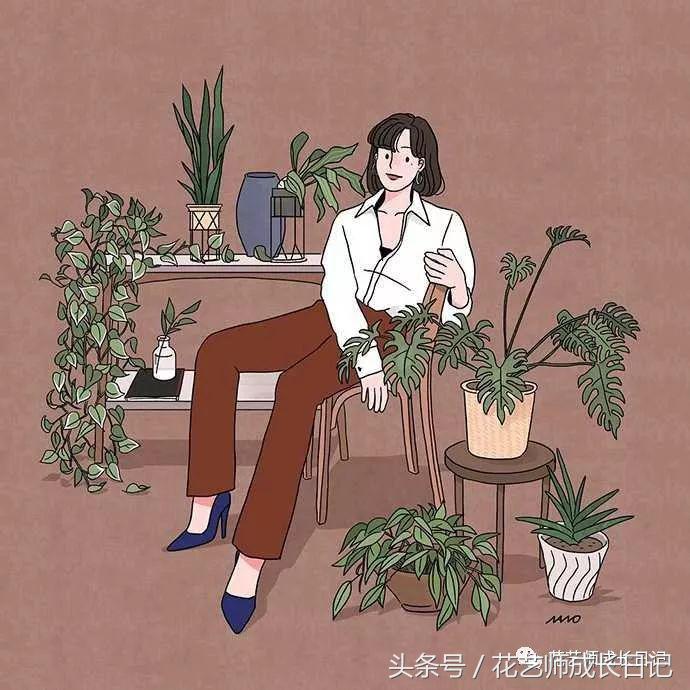 花艺小白怎么选择培训,花艺小白如何插花入门教学