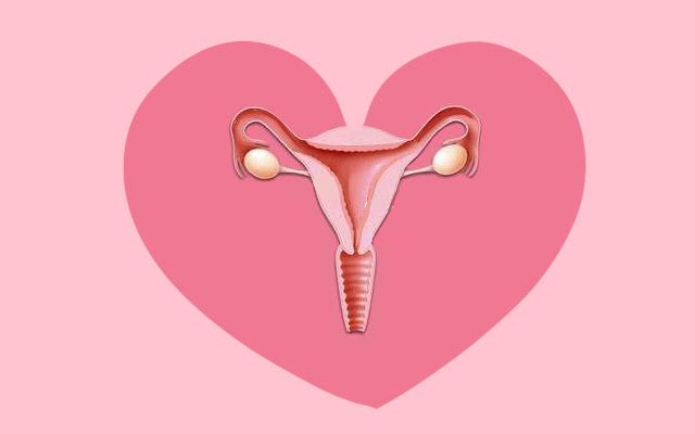 女人绝经越晚越好吗,为什么女人绝经后还是很年轻