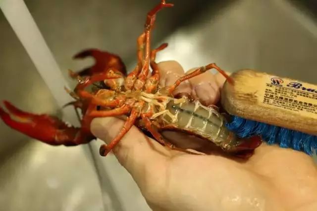 小龙虾的头到底能不能吃,小龙虾的头吃了会起疹子吗