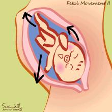 孕1到10个月的宝宝发育全过程,胎宝宝孕期1-10个月图片