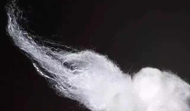 用什么洗毛巾最干净又没有螨虫,怎么去除毛巾的螨虫和细菌