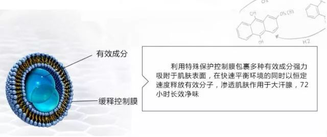 lavilin兰味莲祛味膏盒装,兰味莲走珠止汗露和安利哪个好用