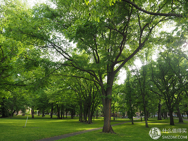 北海道札幌的散步之旅,日本北海道小樽旅游攻略
