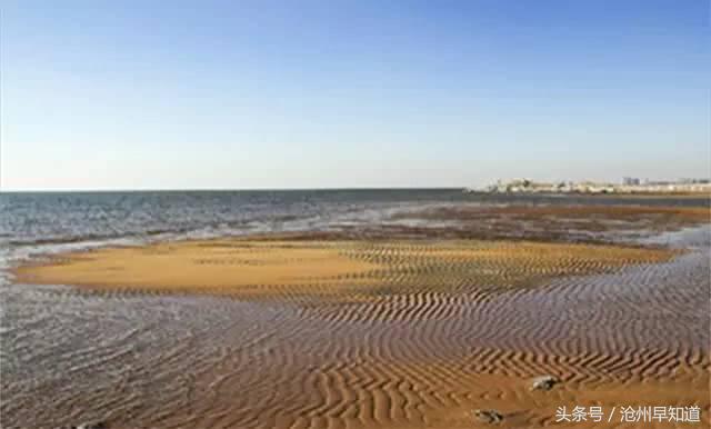 立足生态优势强化发展优势,立足资源禀赋明晰发展思路