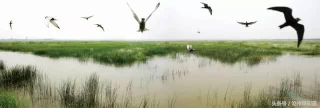 立足生态优势强化发展优势,立足资源禀赋明晰发展思路