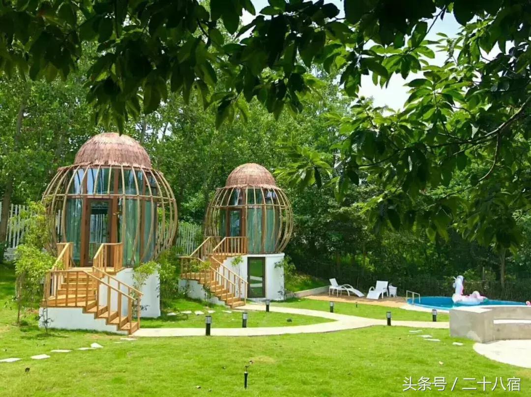 她在南京,南京谷里熏衣草庄园最佳观赏期