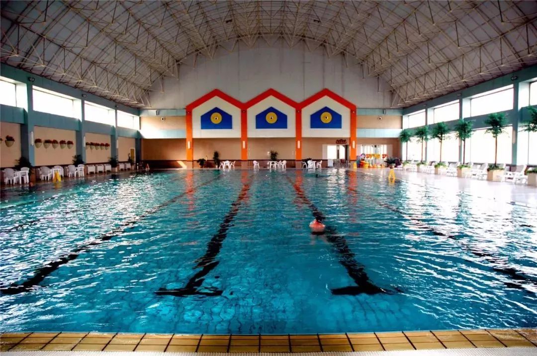 游泳有什么好玩的,游泳的好处锻炼胆量