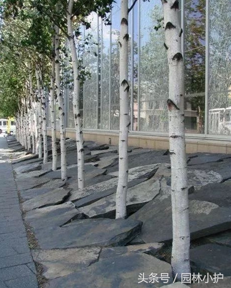 石材碎拼切割,多种石材碎拼造型