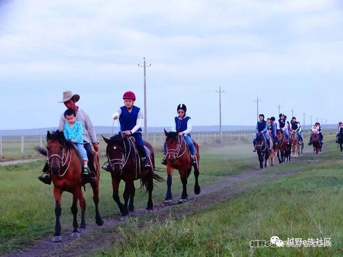 一生总要去一次草原，我的草原自由行之旅