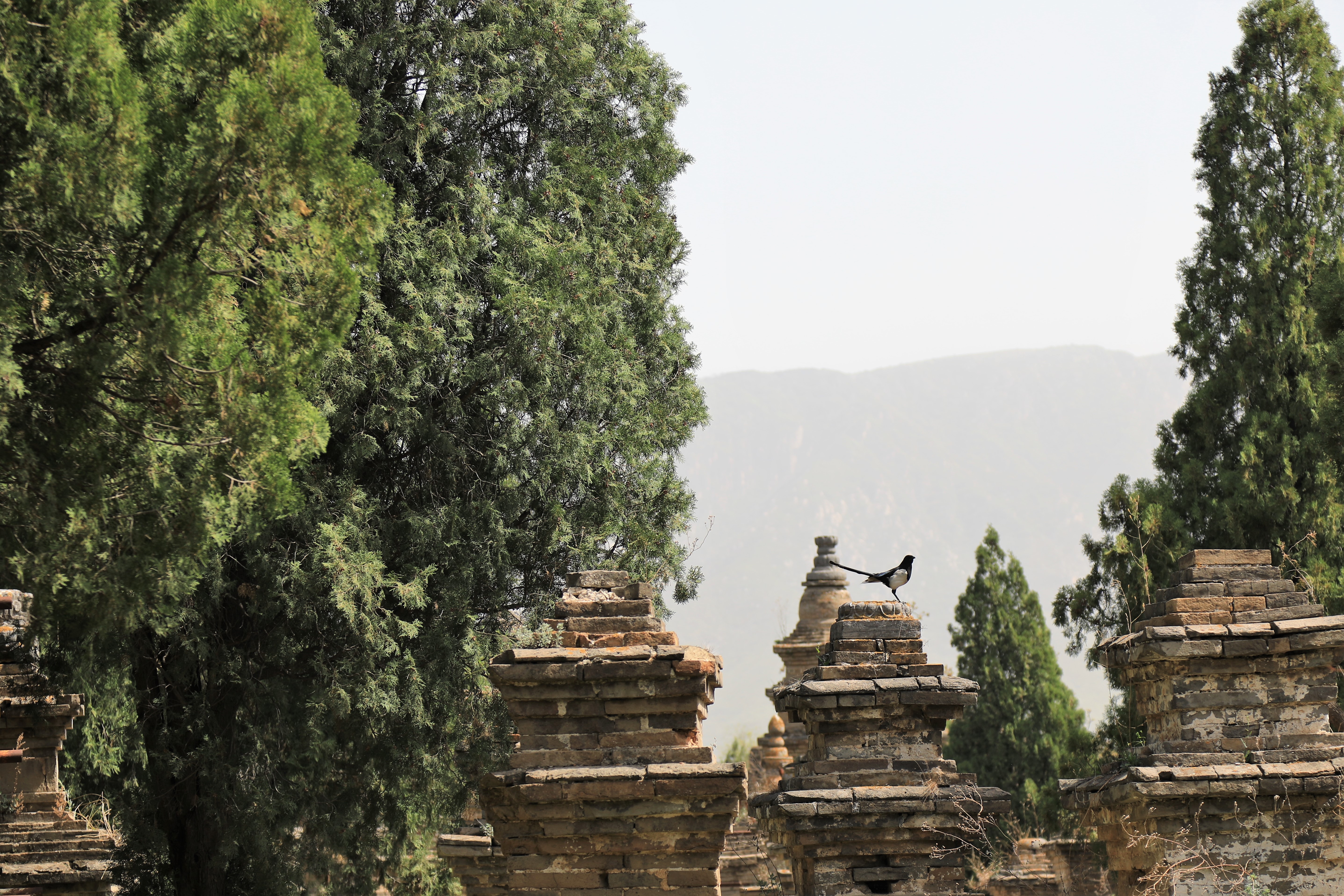 哪些地方有塔林,什么是塔林