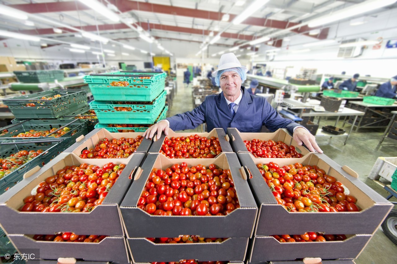 如何经营水果产业,怎么样才能把水果行业做大做强
