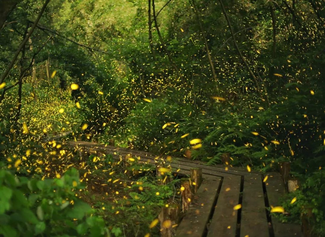 几代人的徐州记忆：三环路上数过车，体育场里踢过球，在云龙公园荡起双桨……