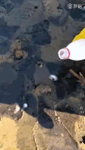 让你满载而归的赶海技巧,赶海攻略100条