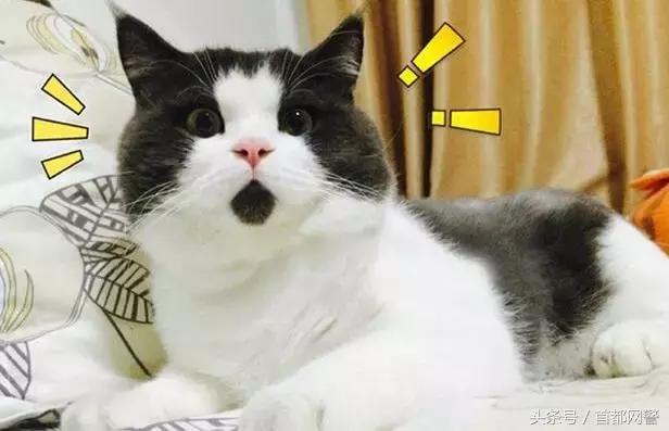 山寨微信语音转发有危险吗,山寨微信转发语音是骗人的吗