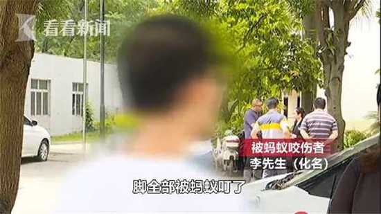 被蚂蚁咬导致死亡,男子被红蚁咬了开车去医院