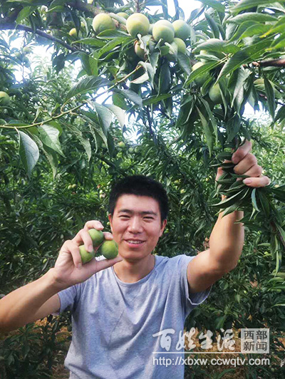 小李哥创业,小李哥创业新视频