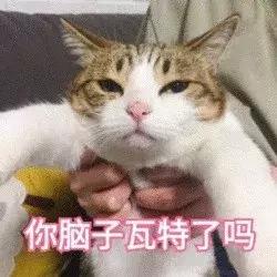 怎么预防荷兰猪囊肿复发,荷兰猪的囊肿怎么在家自行处理