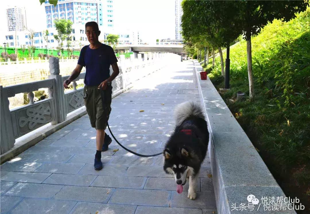 复兴安顺贯城河，保护我们的母亲河，每位安顺人责无旁贷！