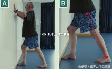 老年人功能性训练方法,专家讲解老年人如何正确锻炼身体