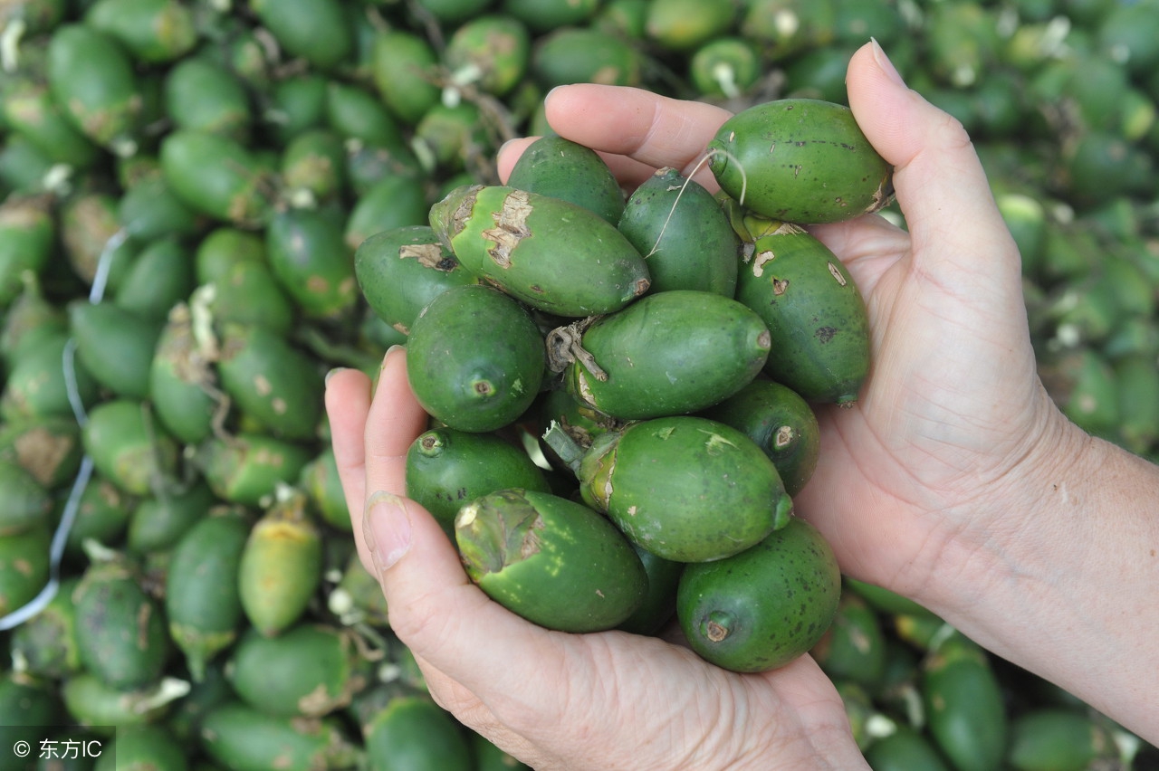 夏季水果禁忌有哪些,这些水果已被列入黑名单