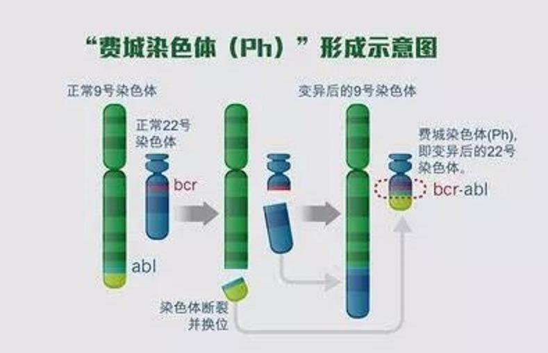 格列卫为什么这么强,格列卫背后真实事件