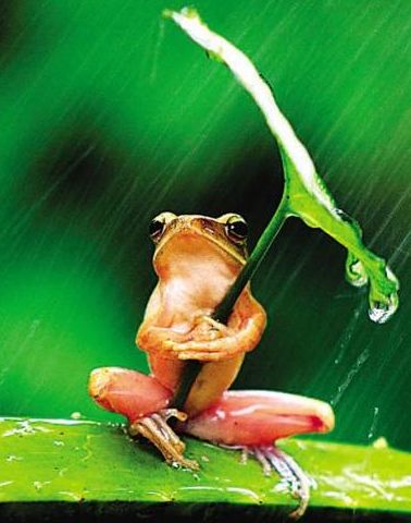 脉脉故事会后续,脉脉故事会