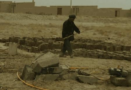 一颗枸杞改变一个村庄！跑完戈壁挑战赛，他们又跑赢了……