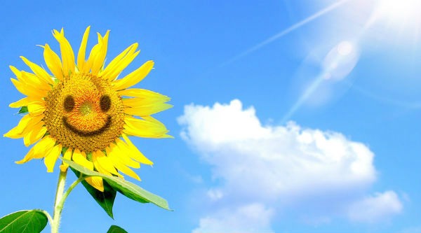 弘扬文化精气神,传统文化中的精气神