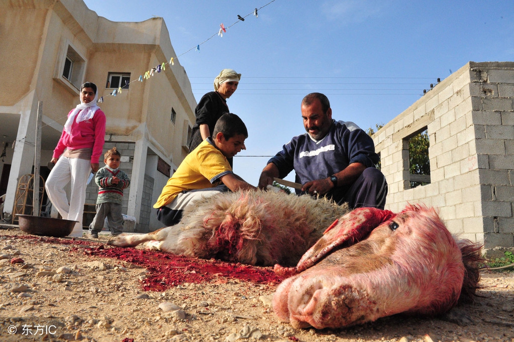 闀挎矙绾㈢櫧鍠滀簨涔犱織瑙嗛,闀挎矙涔犱織