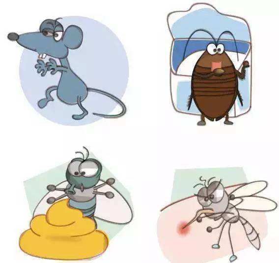 除四害保健康倡议书,除四害保健康