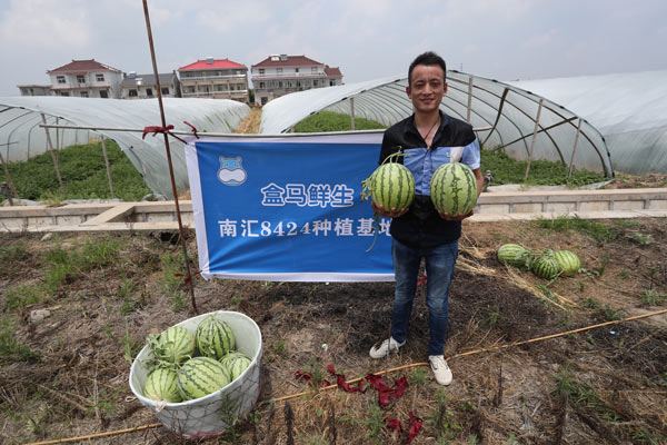 大兴“8424”充斥市场怎么办?点点手机就可以买到官方认证的