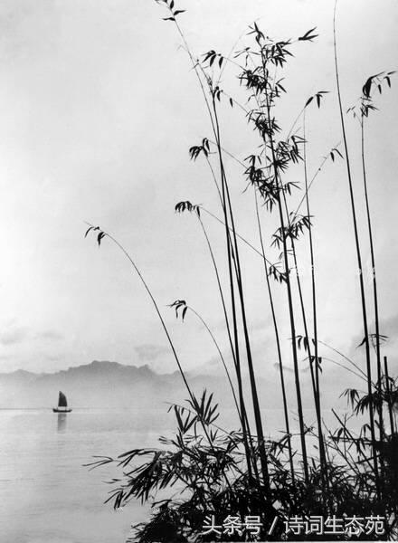 判词,判词是如何写成的