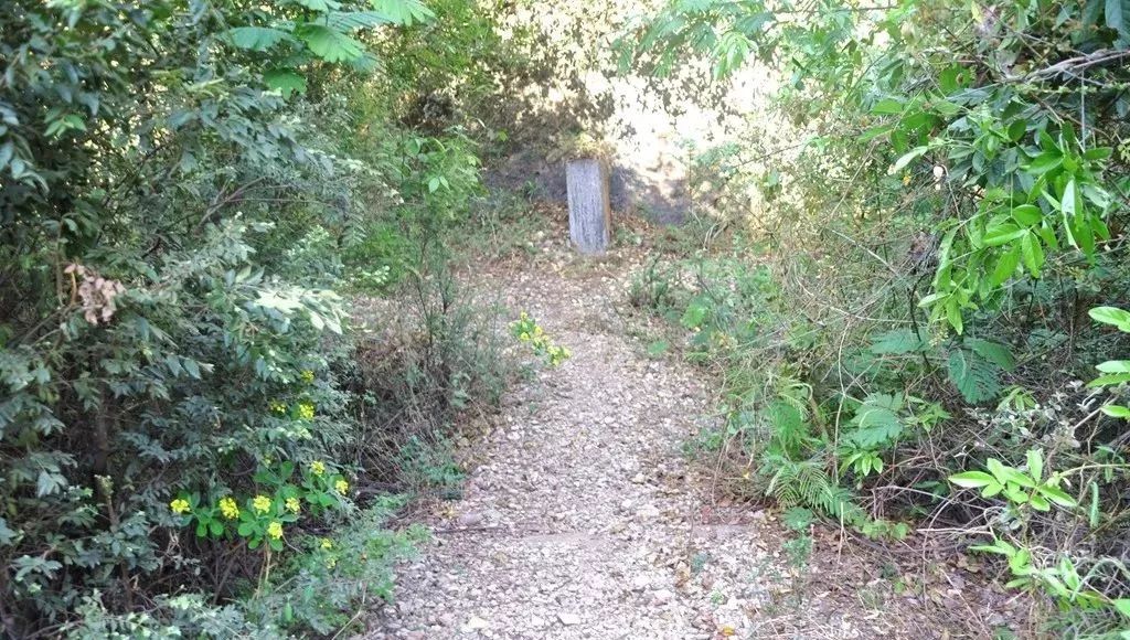 凉山金阳的旅游景点都有哪些,凉山超美自然景观