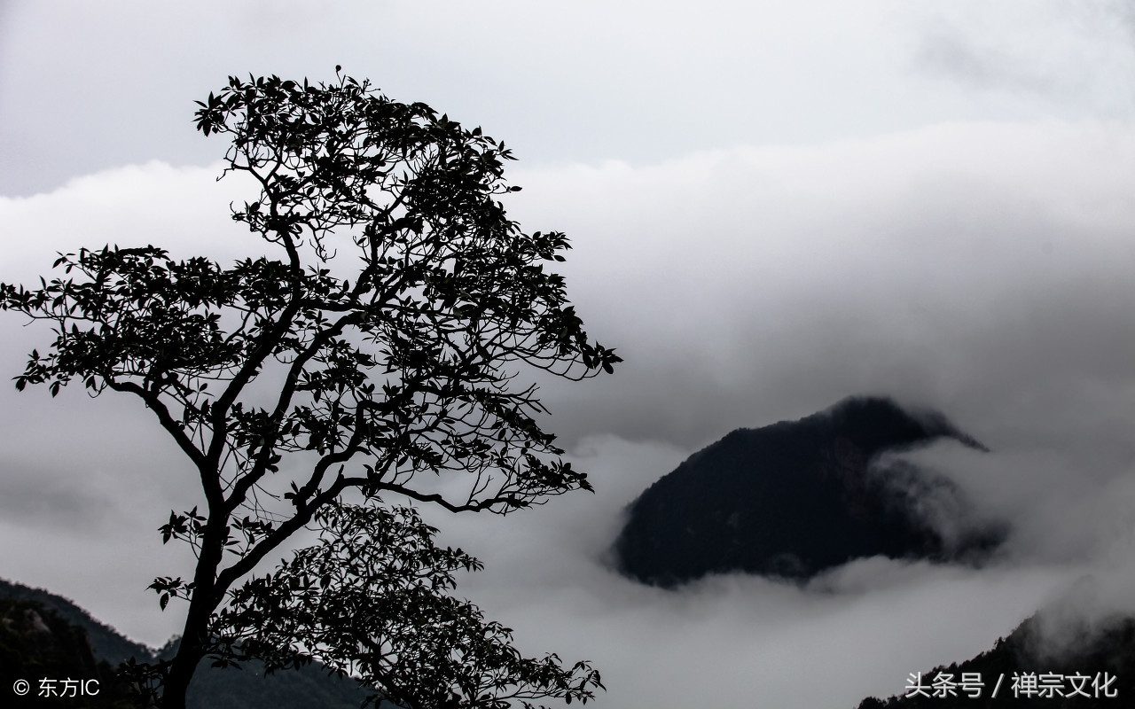 半夜鸡叫是什么预兆,半夜鸡叫正常吗
