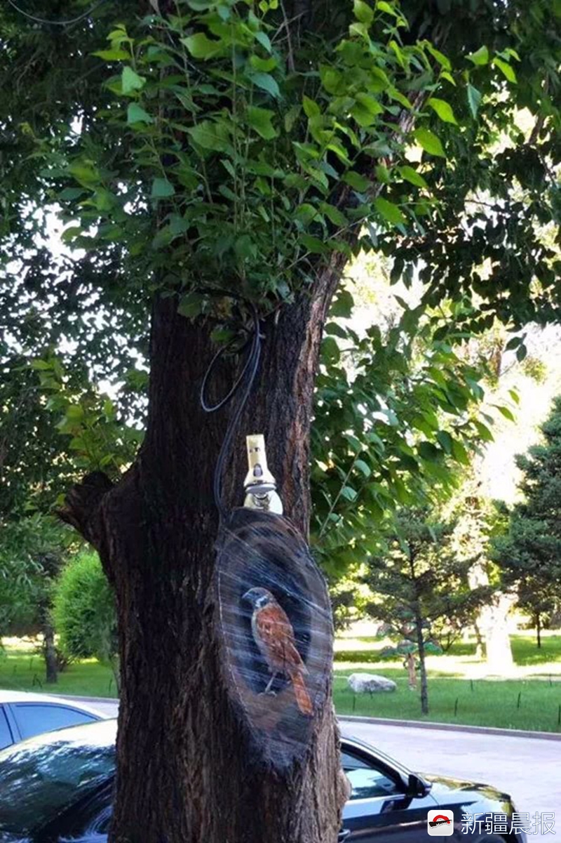 布尔津童话边城民宿,布尔津童话边城酒店